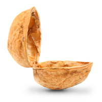 open walnut shell