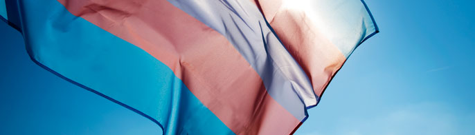 Gender Recognition and Lived Name