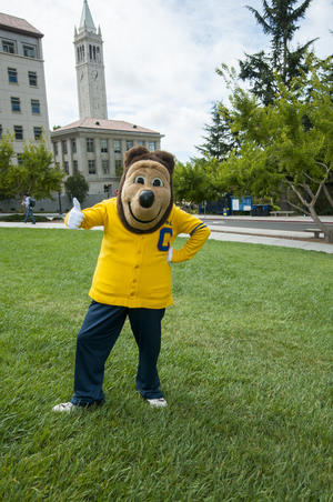 Oski thumbs up