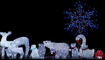 Animals in lights